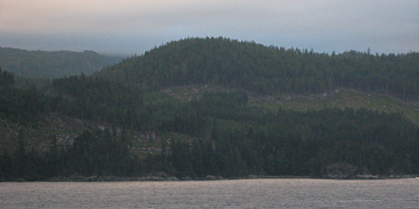 The coastal rainforests in Southeast Alaska are the largest in the US.