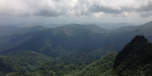 El Yunque