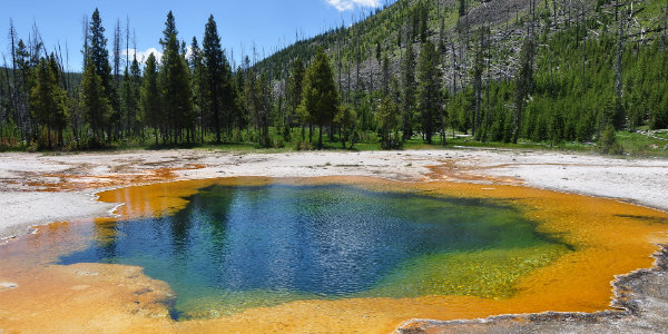 Small blue lake surrounded by mineral deposits in front of a row of evergreen trees.