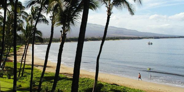 Maui Beach