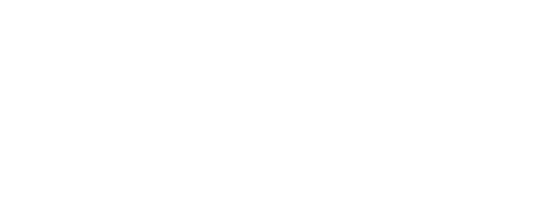 The Travel Institute logo