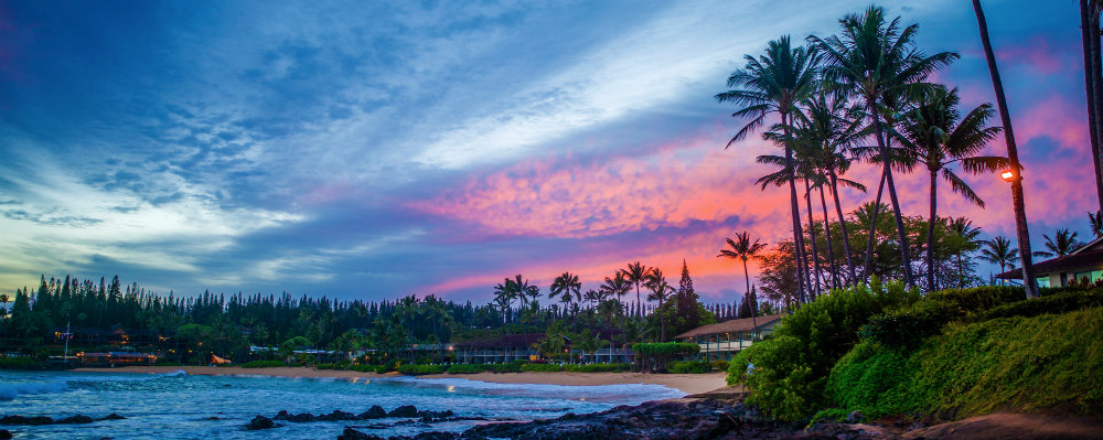 Hawaii.sunsets.palm .trees .coastline