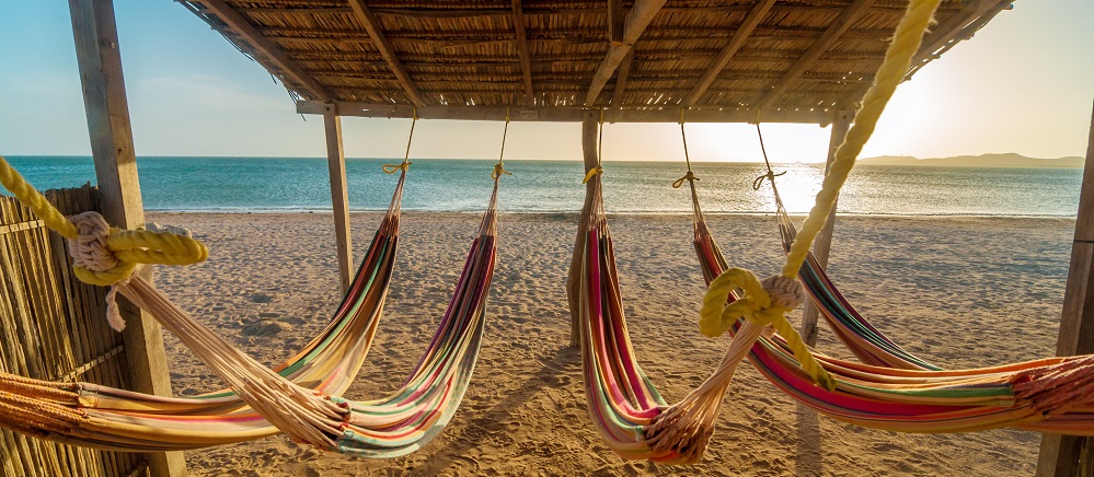 Bright Hammocks And Beach