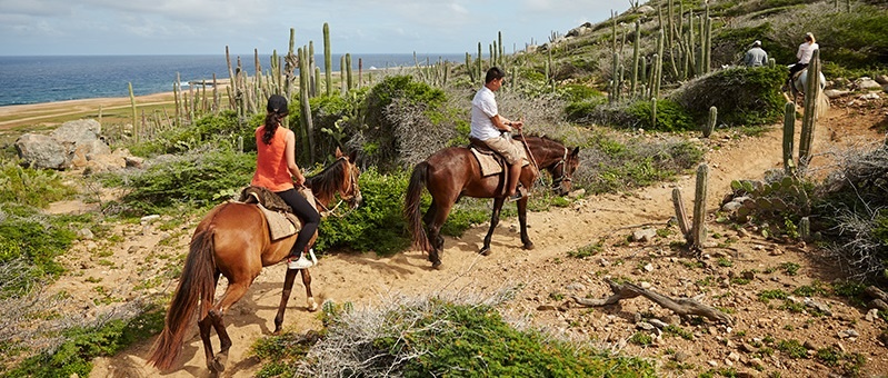 Coastlinehorsebackriding