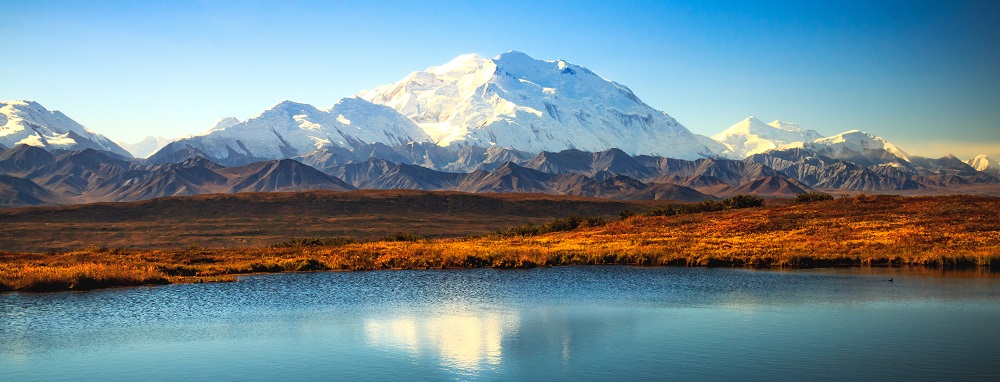 Denali Sunshine