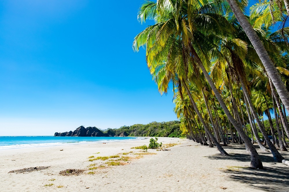 Palms At The Beach In Puerto Carrillo, Costa Rica In Opposite Light. Puerto Carrillo Is A Small Village At The Pacific Coast On The Peninsula Nicoya.