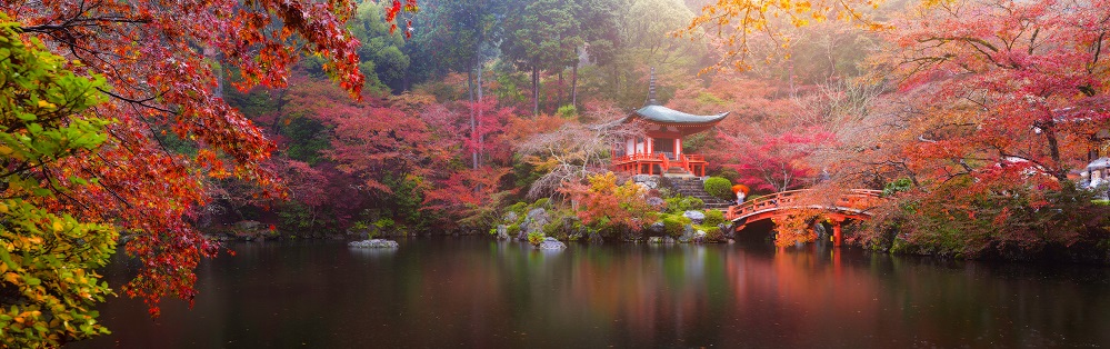 Daigo Ji Temple In Autumn