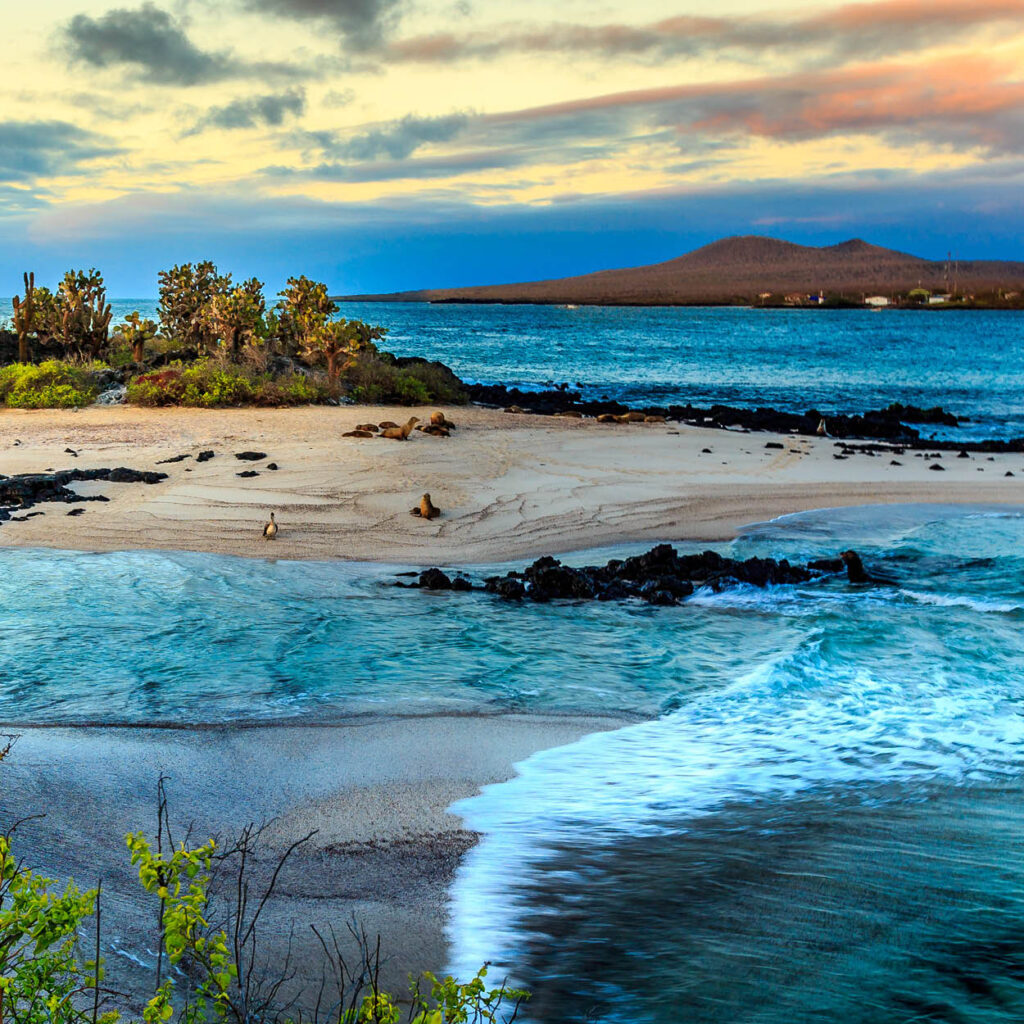 Galapagos Islands