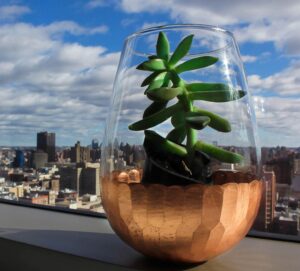 A glass vase holding a succulent plant, sitting on a window ledge with a city skyline in the background