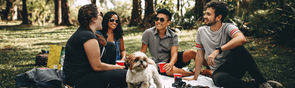 Friends Picnic